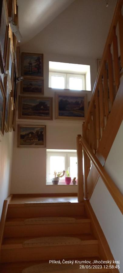 Vila Hesha Apartamento Český Krumlov Exterior foto